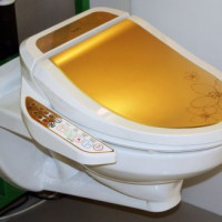 Mga Electronic Bidet Covers: Mga Tip sa Pagpipilian at isang Pangkalahatang-ideya ng Pinakamagandang Tagagawa