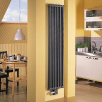 Vertical heating radiator: mga uri + kalamangan at kawalan + pangkalahatang-ideya ng tatak