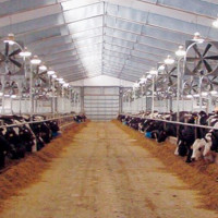 Do-it-yourself ventilation of the barn: types of systems, air exchange rates + system arrangement