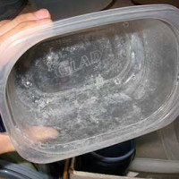 Why does white plaque appear in the dishwasher and how to get rid of it