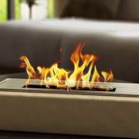 Fireplaces on biofuel: device, types and principle of action of bio-fireplaces