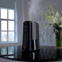 Où mettre l'humidificateur dans la pièce: choisir le meilleur endroit pour l'appareil + conseils d'experts