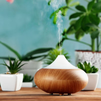 Quel humidificateur est le meilleur - à vapeur ou à ultrasons? Comparez deux types d'humidificateurs