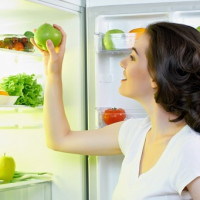 Que temperatura deve estar na geladeira e no freezer: padrões e normas