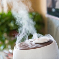 Comment choisir un humidificateur à ultrasons: que regarder avant d'acheter?