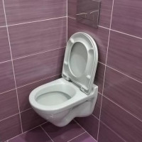 Paano pumili ng isang nakabitin na banyo: na kung saan ay mas mahusay at kung bakit + pangkalahatang-ideya ng mga tagagawa