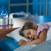 What are humidifiers: the main types, their features + tips for customers to choose