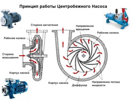 Centrifugalpumpe