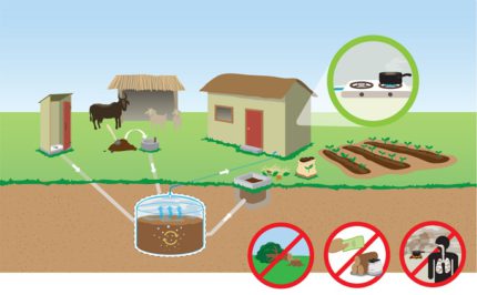 Obtenció de biogàs a partir dels fems