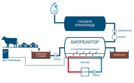 Biogasproductieschema