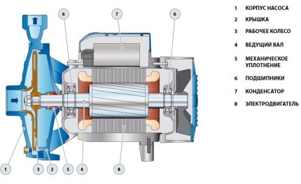 Centrifugal pump design