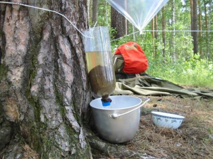 Holzkohle Wasserfilter einfach