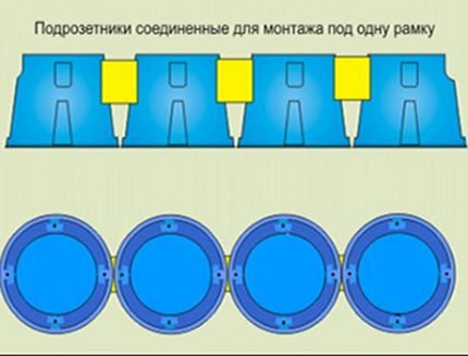 Rosette roser