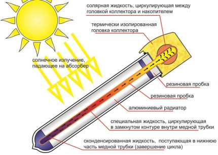 Toplinska cijev solarnog kolektora