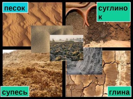 Types de sols