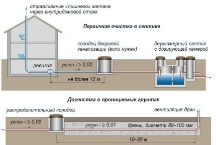 Function of anaerobic and aerobic living bacteria for cesspools