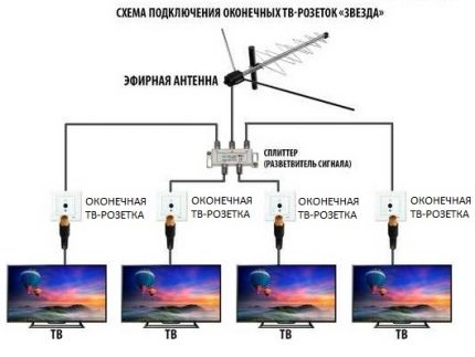 Sternschema