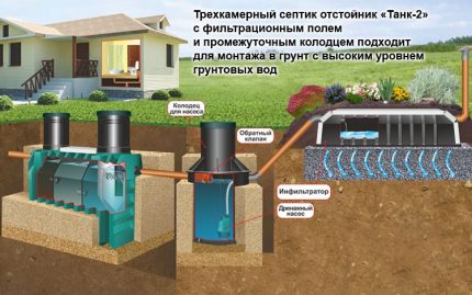 Scheme ng pag-install ng isang septic tank sa isang site na may mataas na antas ng tubig sa lupa