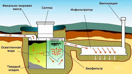 Processo de tratamento de esgoto de tanque