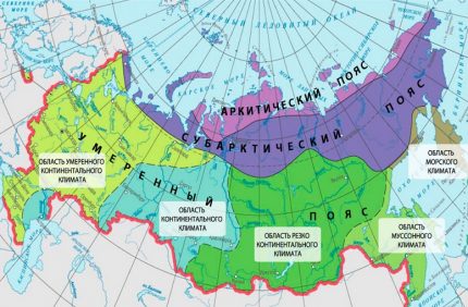 Mapa dystrybucji