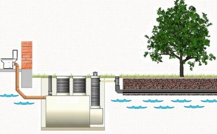 Arrangement of a drainage system