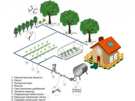 Đề án tưới nhỏ giọt