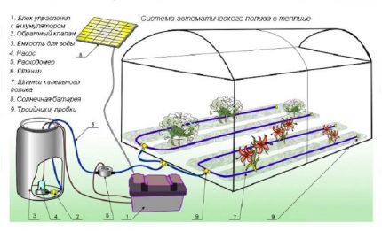 Plano ng patubig ng Greenhouse