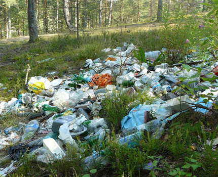 Šiukšlių šalinimas vandens apsaugos zonoje