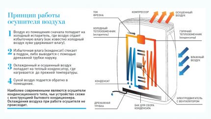 The device and principle of operation of a monoblock dehumidifier for the pool