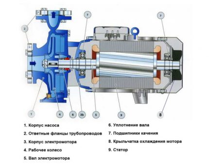 Electric pump device