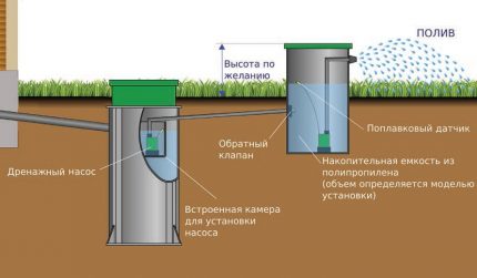 Verwendung von gereinigtem Wasser bei der Bewässerung