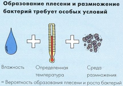 Гљивични услови