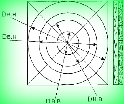 Diseño de formulario