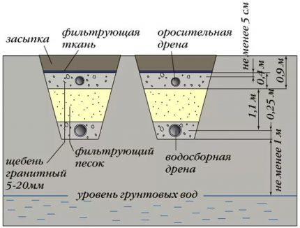 Thiết bị lọc trường