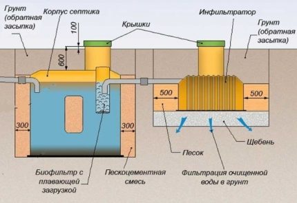 Septic Triton