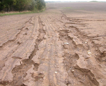 Terra afectada per l’erosió hídrica