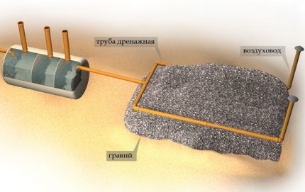 Water purification from septic tank