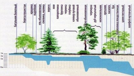 Groundwater Depth Determination