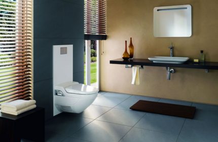 „Geberit AquaClean 5000plus“