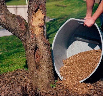 Pagputol ng Peat - Mahusay na Fertilizer