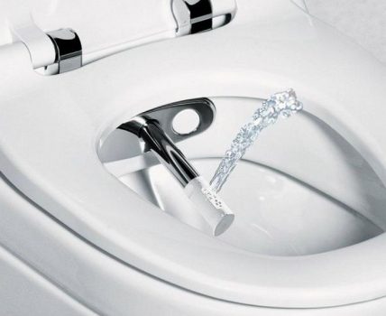 Sinusuri ang pag-andar ng bidet sa pag-install