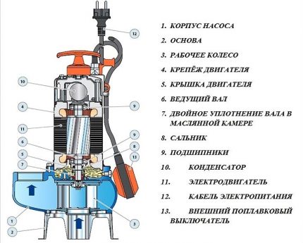 The device and components of the fecal pump