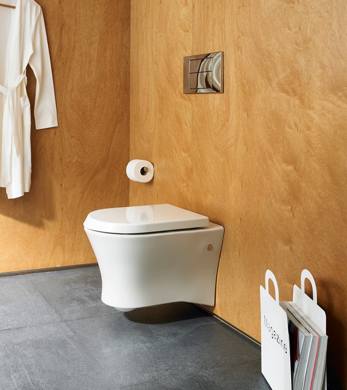 Wall hung toilet