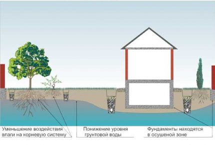 Drenážní systémový diagram