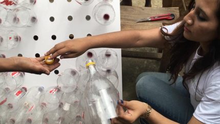 Fixing bottles on a sheet