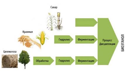 The main component of biofuel is alcohol