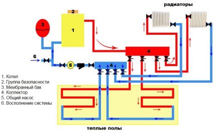 Sistem peredaran paksa