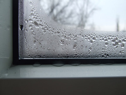 Condensation et moisissure sur les fenêtres - signe d'un dysfonctionnement de la ventilation