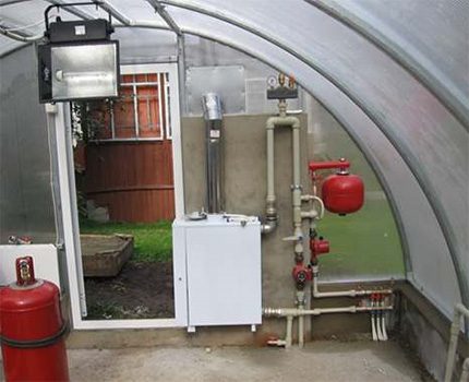 Gas boiler for heating the greenhouse