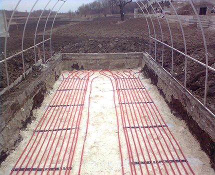 Laying the heating cable for the greenhouse